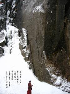 多个“柳字号”出口实现两位数增长